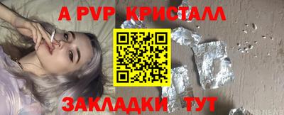 индика Кингисепп