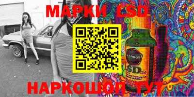 индика Кингисепп