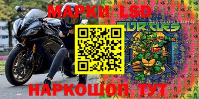 индика Кингисепп