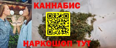 индика Кингисепп