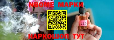 индика Кингисепп