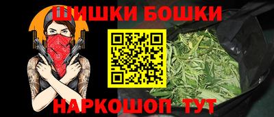индика Кингисепп