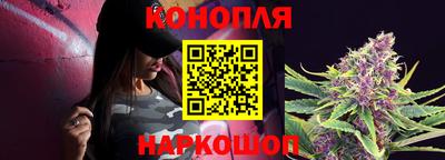 индика Кингисепп