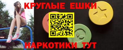 индика Кингисепп