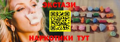 индика Кингисепп