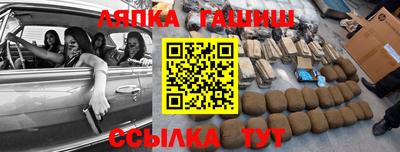 индика Кингисепп