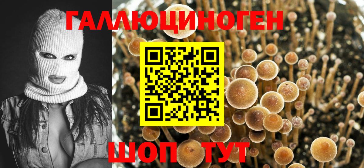 Галлюциногенные грибы MAGIC MUSHROOMS  Галлюциногенные грибы мухоморы  Вход с VPN  Уссурийск 