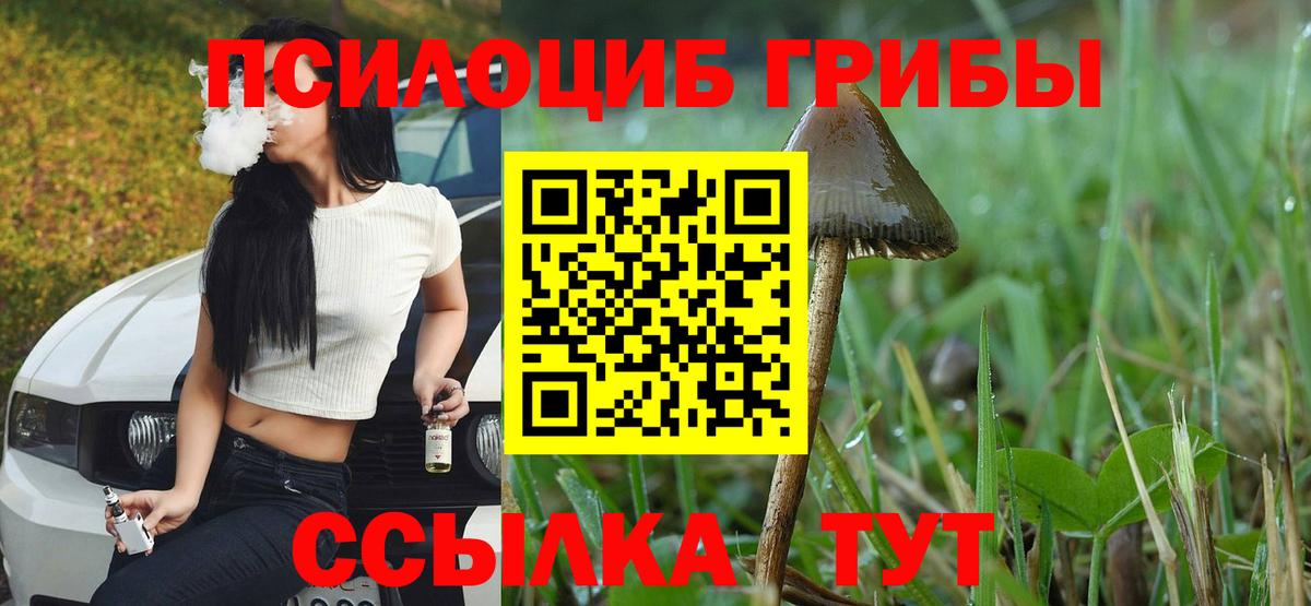 Галлюциногенные грибы Magic Shrooms Уссурийск